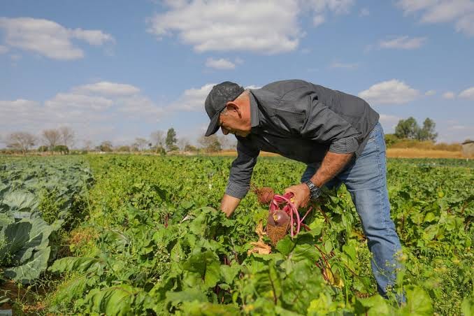 Governo abre crédito extraordinário de R$ 64,3 milhões contra a fome e para povos indígenas