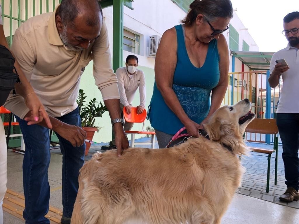 Goiânia realiza vacinação antirrábica gratuita em setembro
