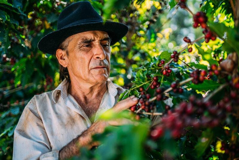 Produtores do DF e Entorno se reúnem para discutir qualidade do café e novas oportunidades de renda