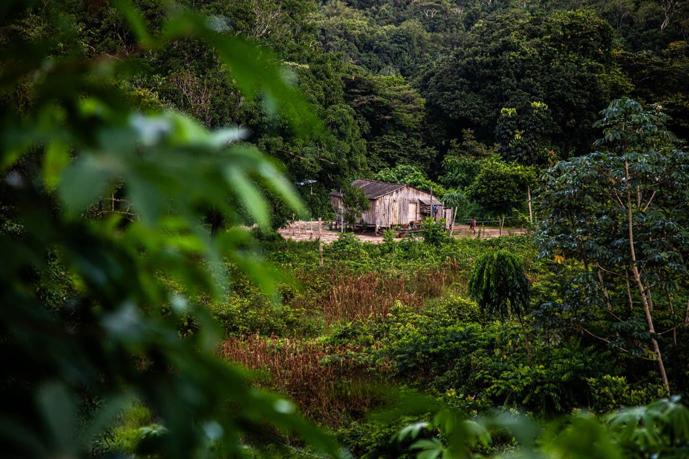 Minerais críticos: 5 mil pedidos de mineração e 26 milhões de hectares em disputa na Amazônia