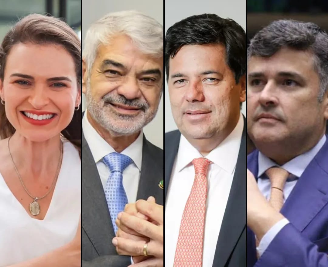 Primeiro debate entre majoritárias em Pernambuco acontece nesta quarta-feira (2), online, mas só com candidatos ao Senad