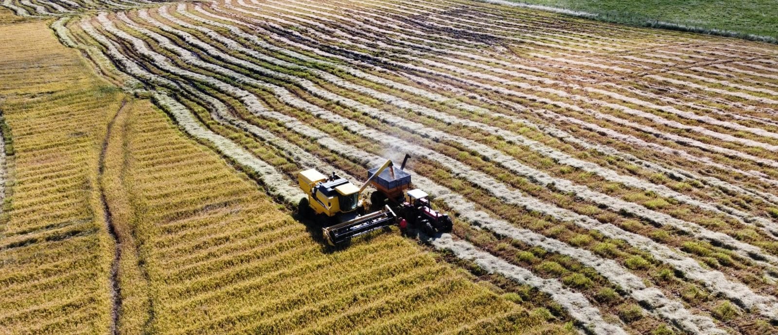 MDA/RS lança cartilha de 10 páginas para preparar agricultores para El Niño