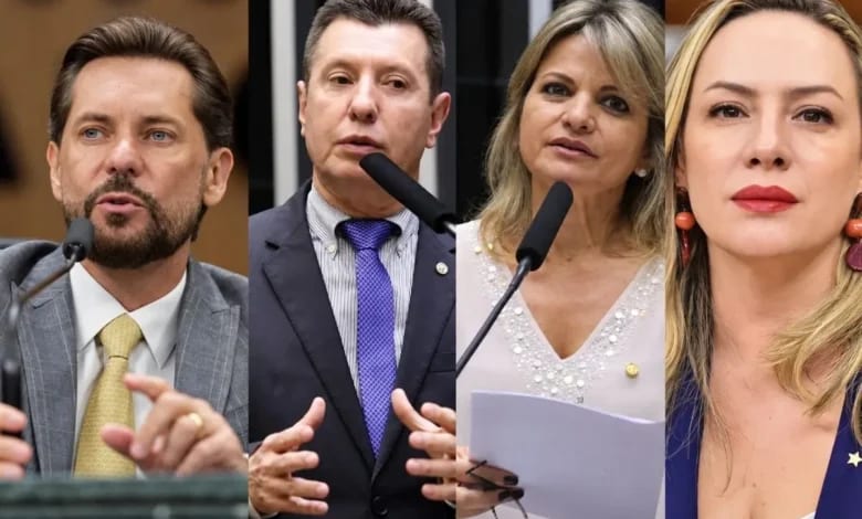 Mapa eleitoral de Goiás: quem liderou a votação para deputado federal em cada município