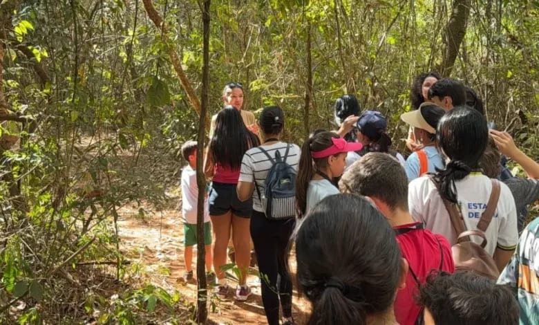 Estudantes com autismo exploram biodiversidade do Cerrado em parque de Goiás