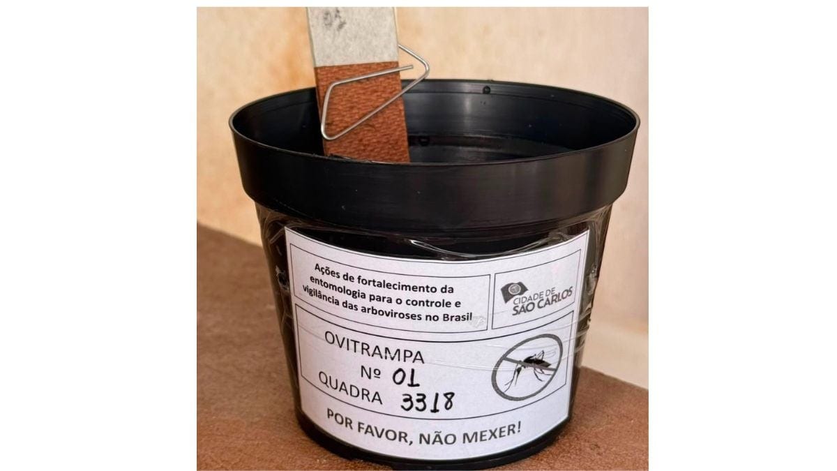 São Carlos instala 220 ovitrampas este mês para monitorar Aedes aegypti