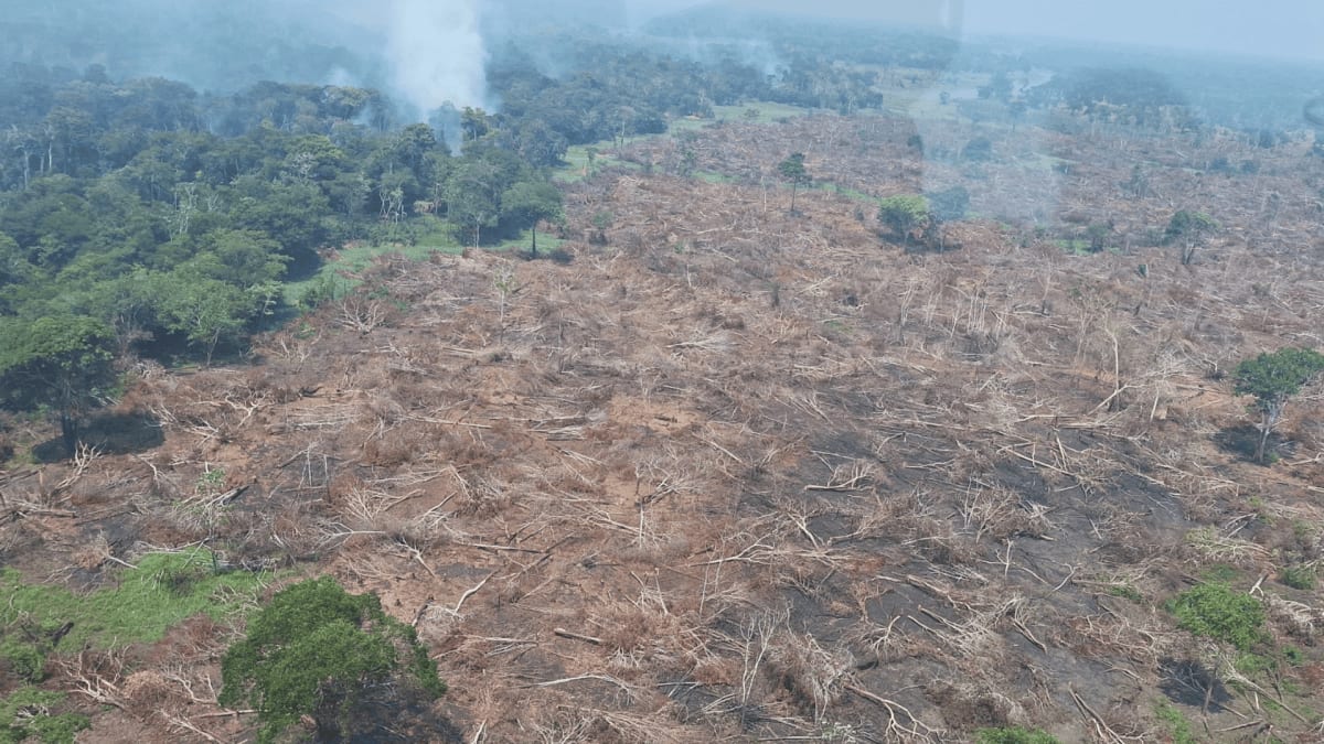 Governo libera R$ 3,5 milhões para cidades do Amazonas afetadas por incêndios