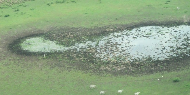Observatório do Clima: vitória de Lula evita tragédia, mas clima e meio ambiente ainda não estão a salvo