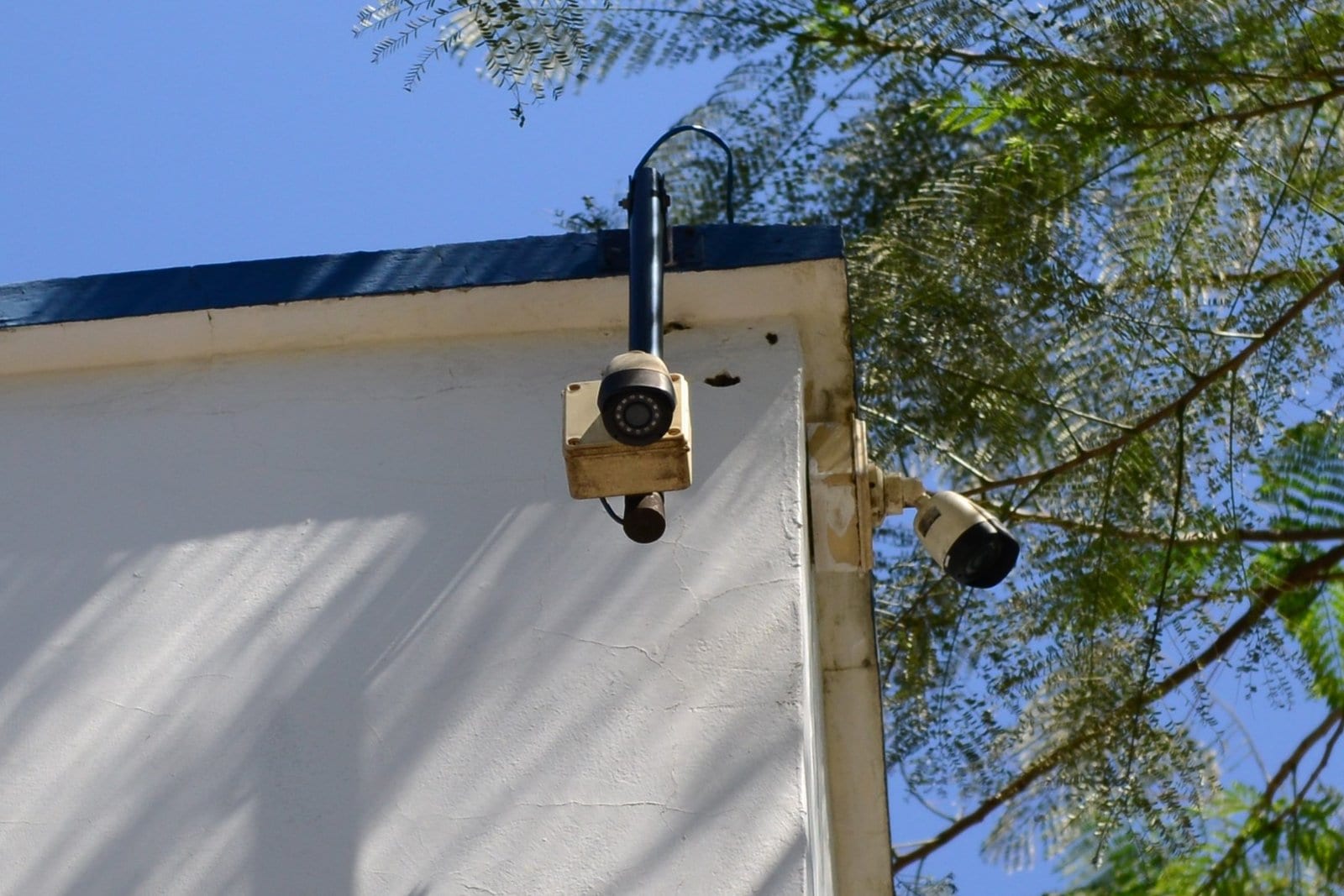 Foz regulamenta compartilhamento voluntário de imagens privadas