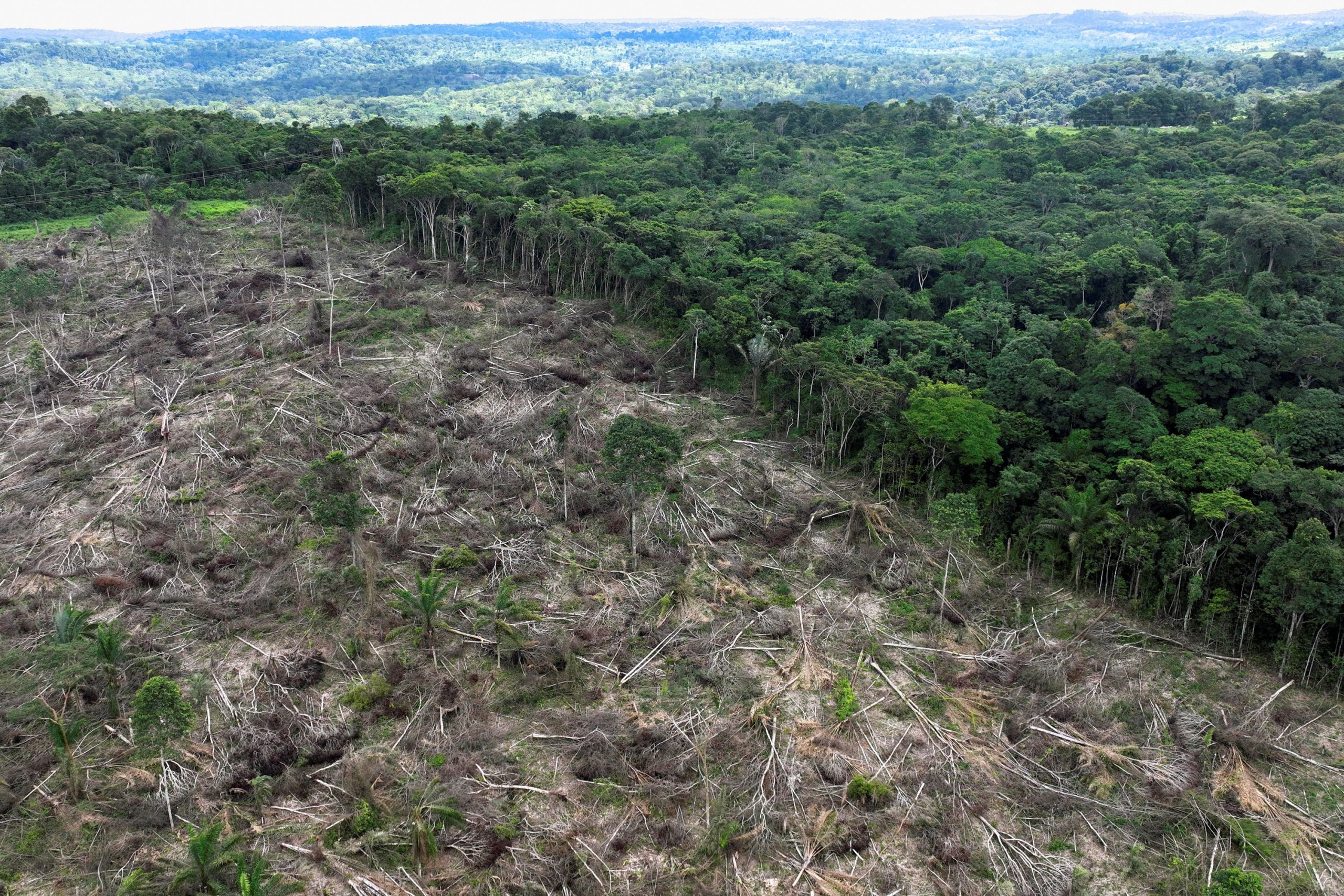 Ruralistas buscam liberar 1,7 milhão de hectares em áreas protegidas