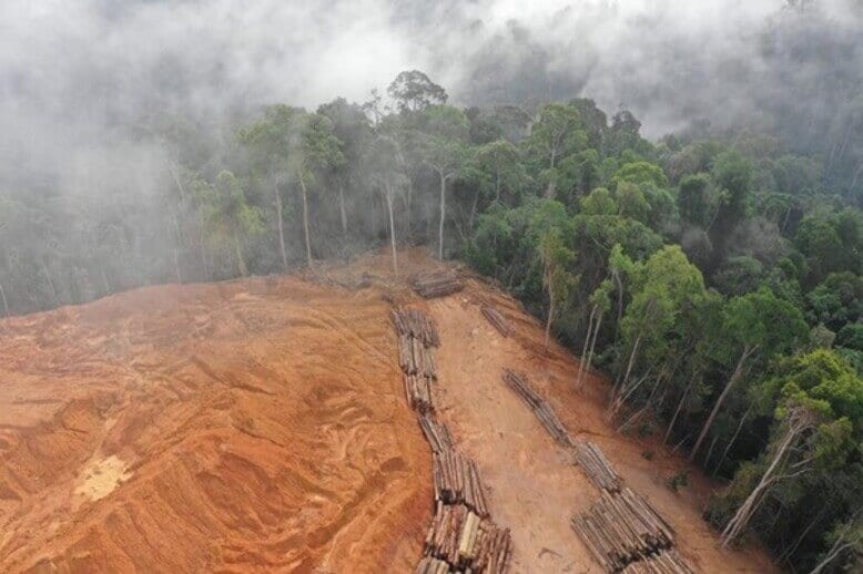 ONU: meta de 1,5°C é inalcançável; foco é limitar ultrapassagem