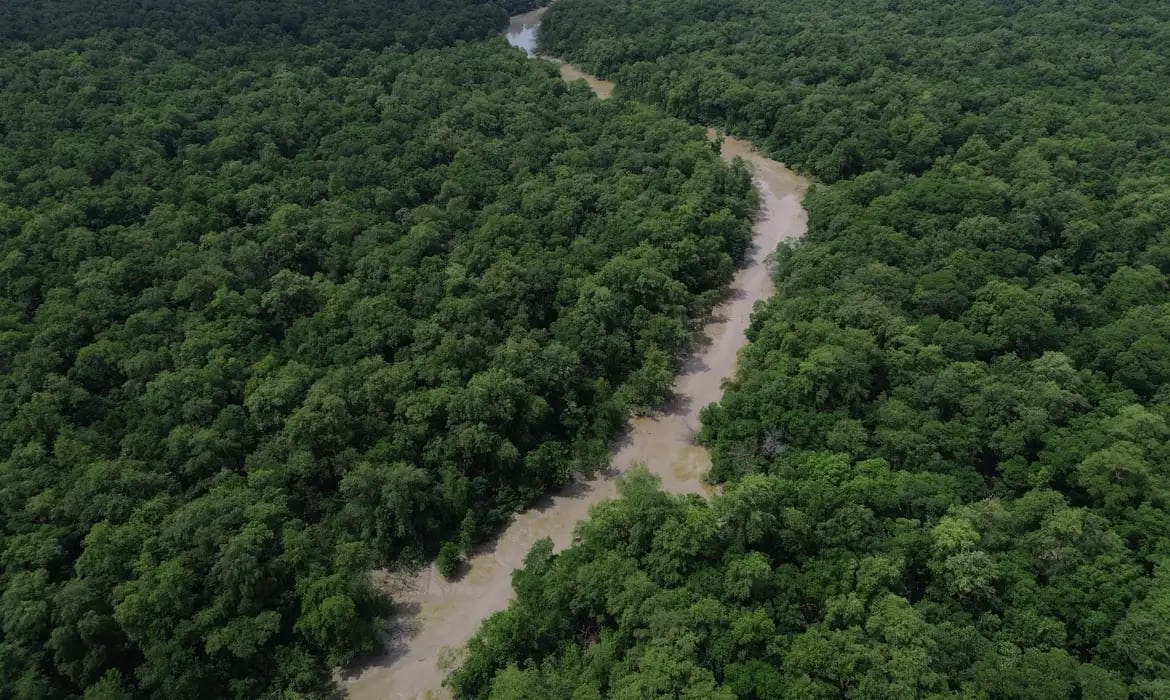 Desmatamento cai 41,8% na Amazônia e 23,8% no Cerrado em 12 meses