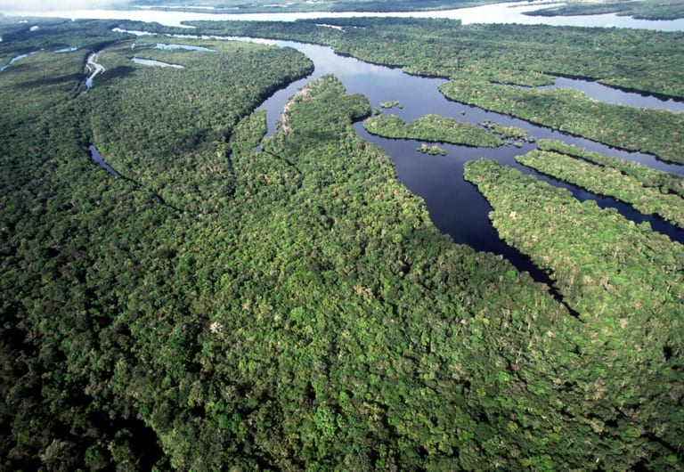 Brasil anuncia as maiores quedas históricas no desmatamento da Amazônia e do Cerrado