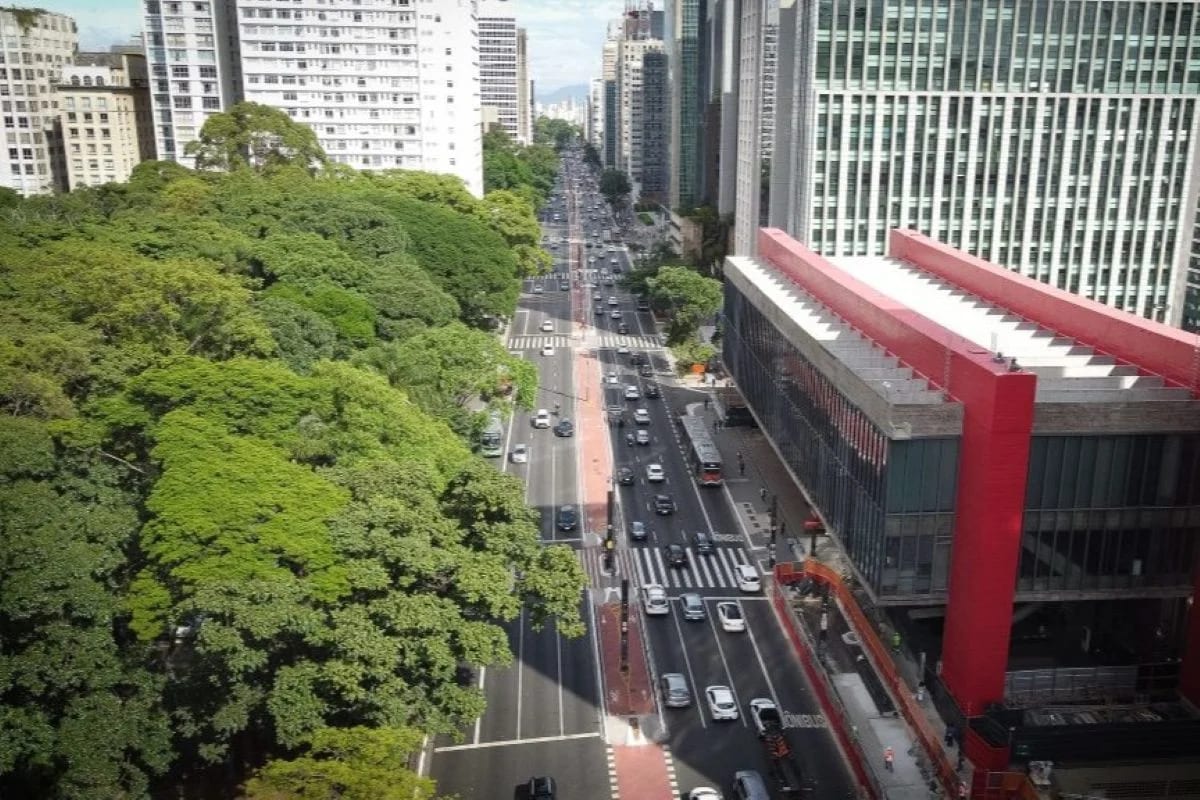 PT vai ao TRE-SP para garantir caminhada de Lula e Haddad na Paulista