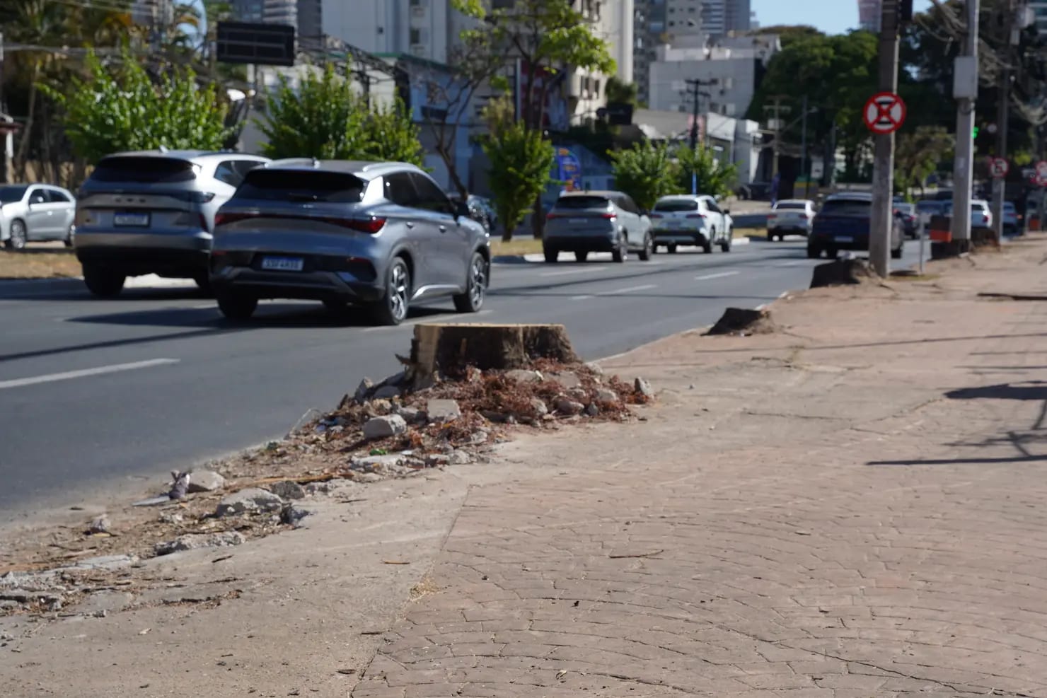 Goiânia discute retirada de árvores com previsão de mais calor e seca