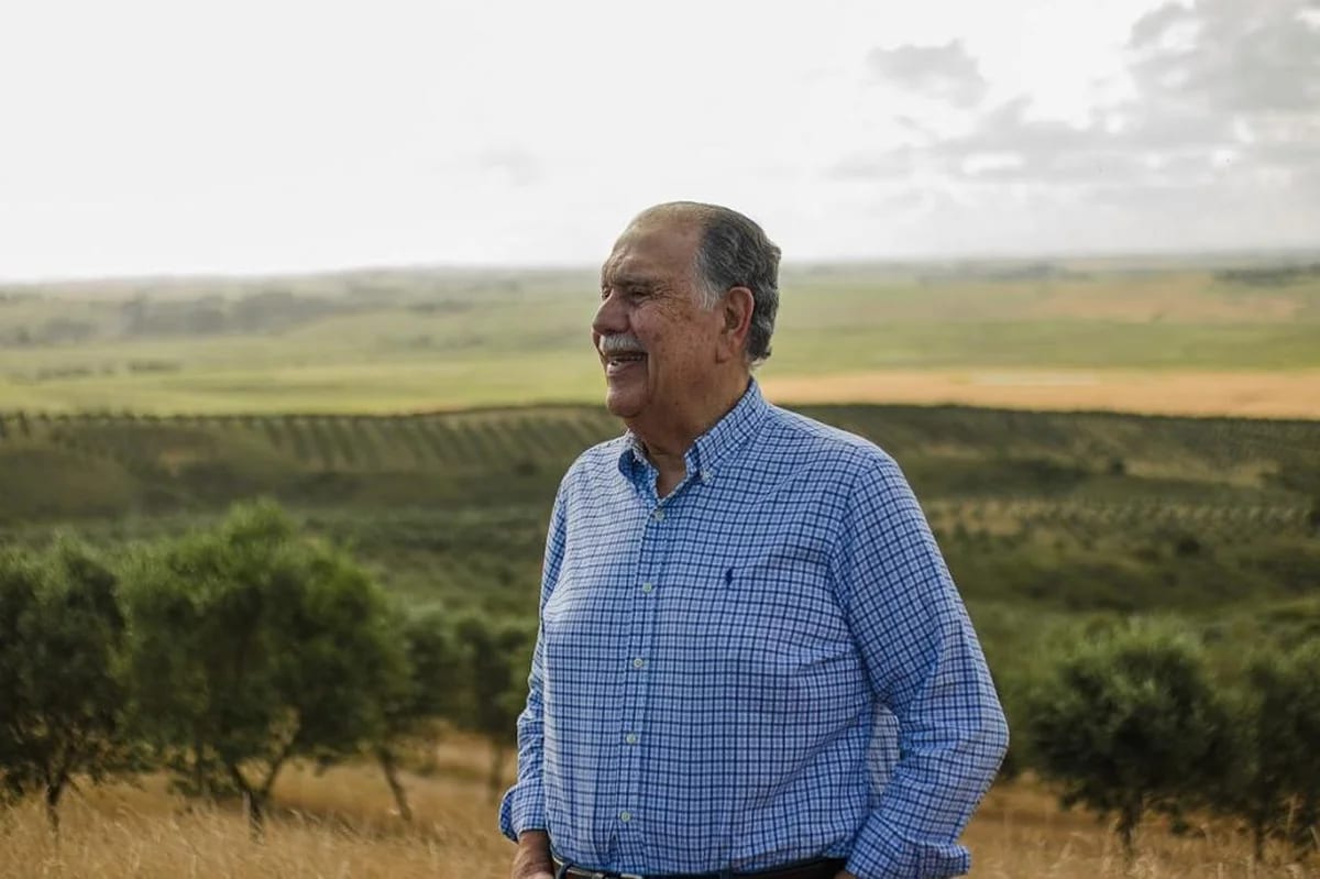 Aos 80 anos, empresário aposta em vinhos, azeites e turismo para transformar a metade sul do RS em uma "nova Califórnia"