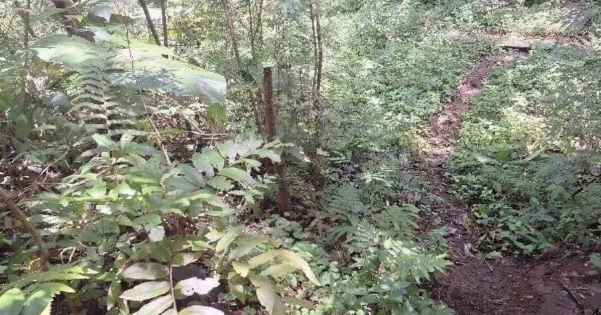 Corpo é encontrado em região de mata próximo à prefeitura de pequena cidade em SC