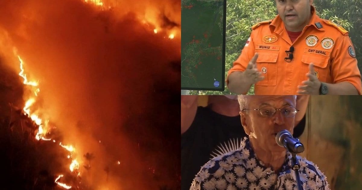 Amazonas em chamas: internautas cobram artistas que cantaram pela floresta no governo Bolsonaro