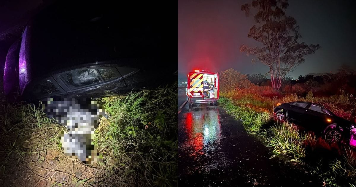 Bezerro surge na pista, provoca freada brusca e termina morto após colisão entre carros e caminhão na BR-470 em SC