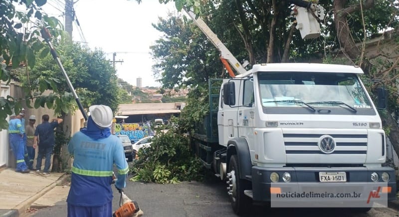 Prefeitura de Limeira realiza poda de árvores no Largo José Bonifácio neste sábado