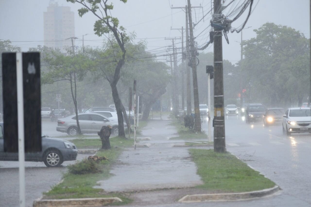 Chuva e vento forte marcam início do domingo de eleição em Santa Catarina
