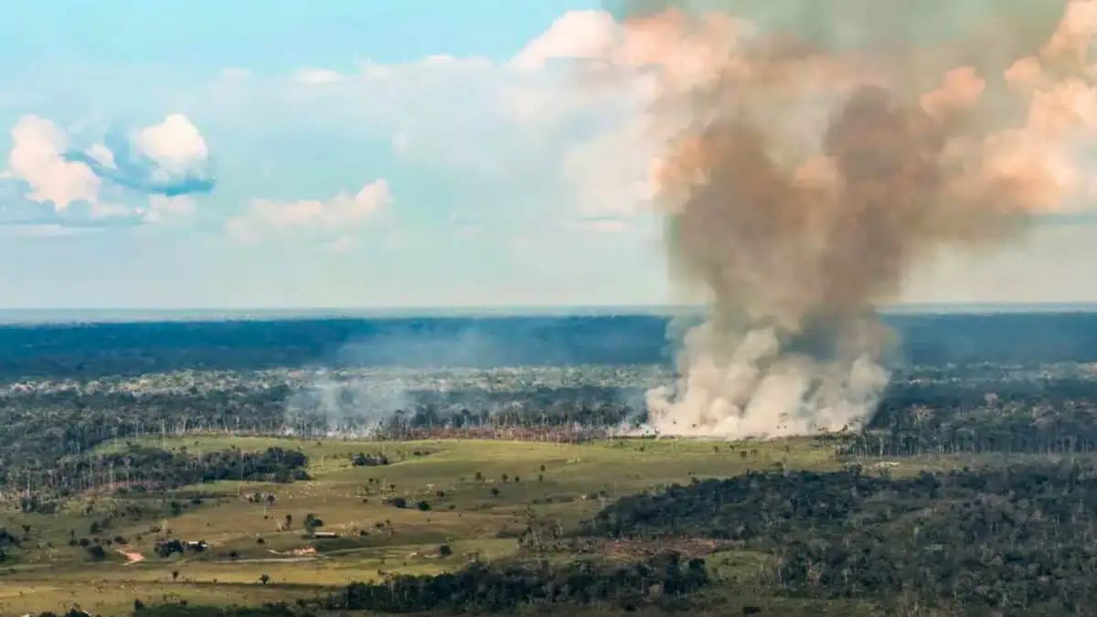 Incêndios no Pará Mobilizam 522 Brigadistas e R$ 300 Milhões em Recursos Federais