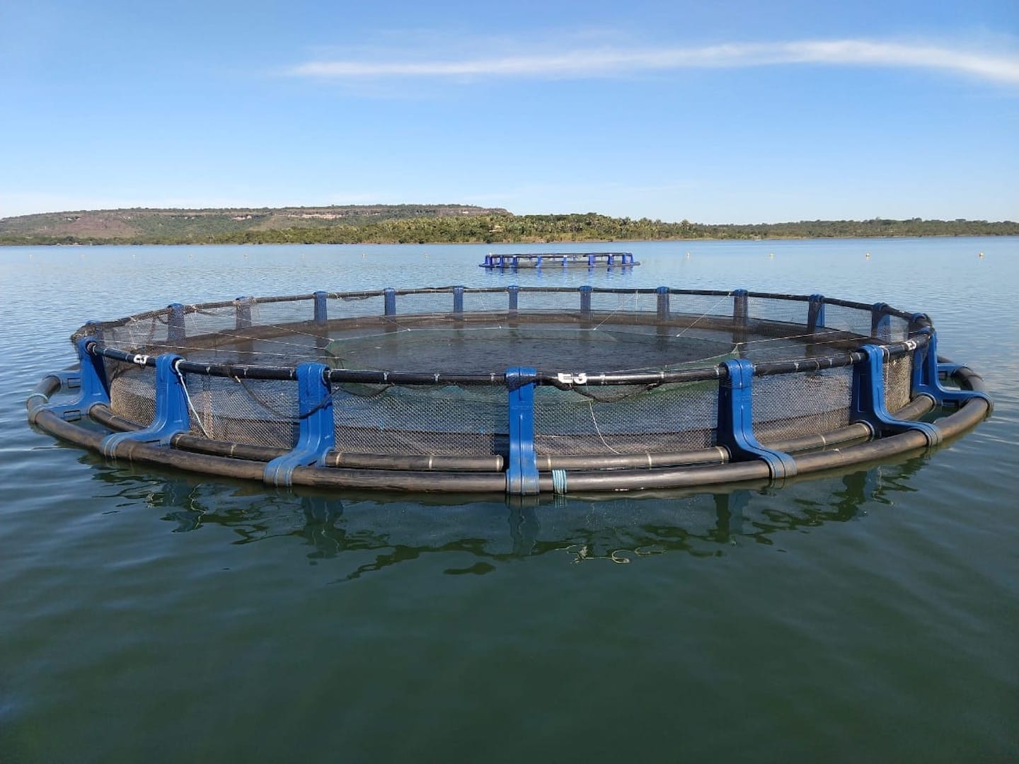 TCU aprova plano para agilizar projetos de aquicultura em águas da União