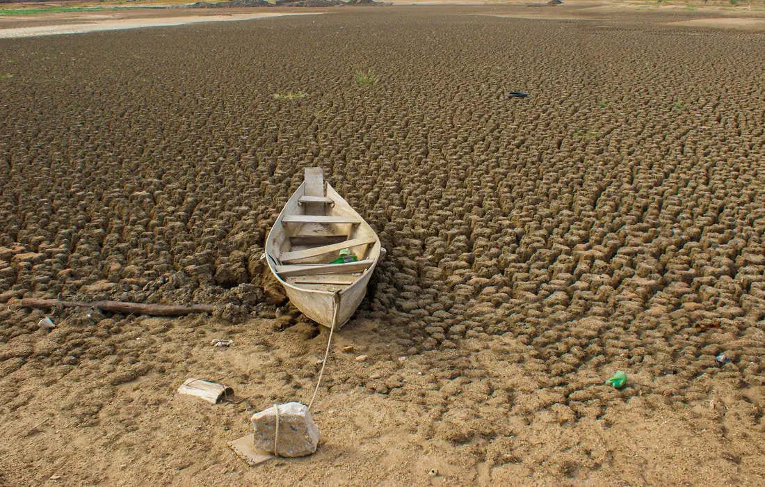 Brasil promete restaurar 163 mil km² de terras degradadas até 2030