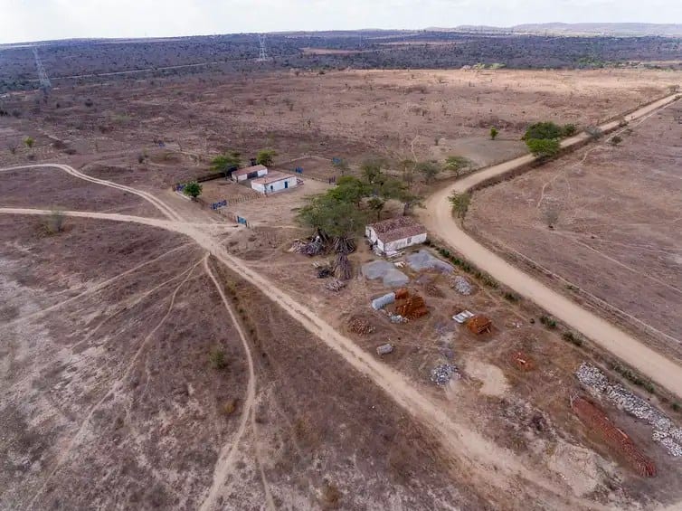 Desertificação ameaça 39 milhões de brasileiros e 18% do território