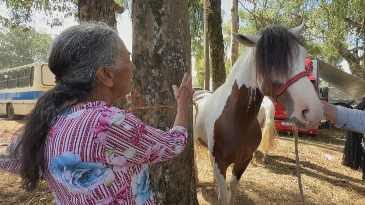 Bênçãos pelo celular: entenda como benzedeiras adaptam rituais para seguir tradição de orações a animais no interior do