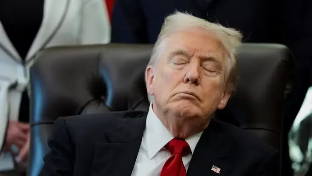 Para Trump, eleição no Brasil “parece fraudada”, embora sinalize que “não tomará partido”