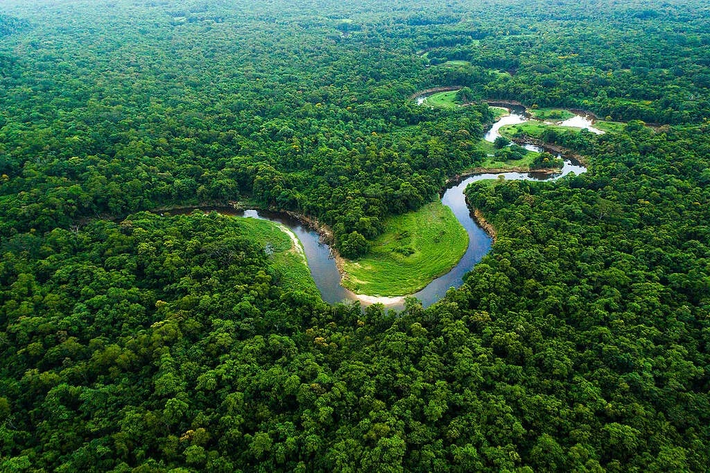 Com Lula, Amazônia registra o menor desmatamento em 41 anos