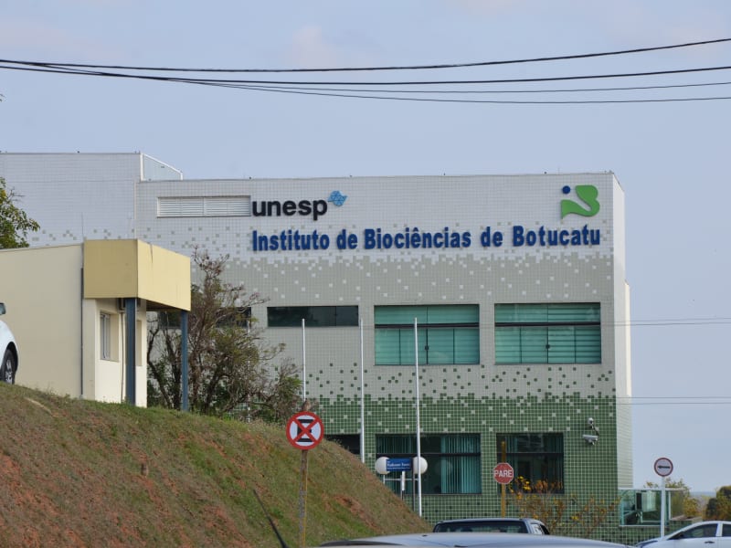 Unesp Botucatu promove congresso sobre Física aplicada à Medicina
