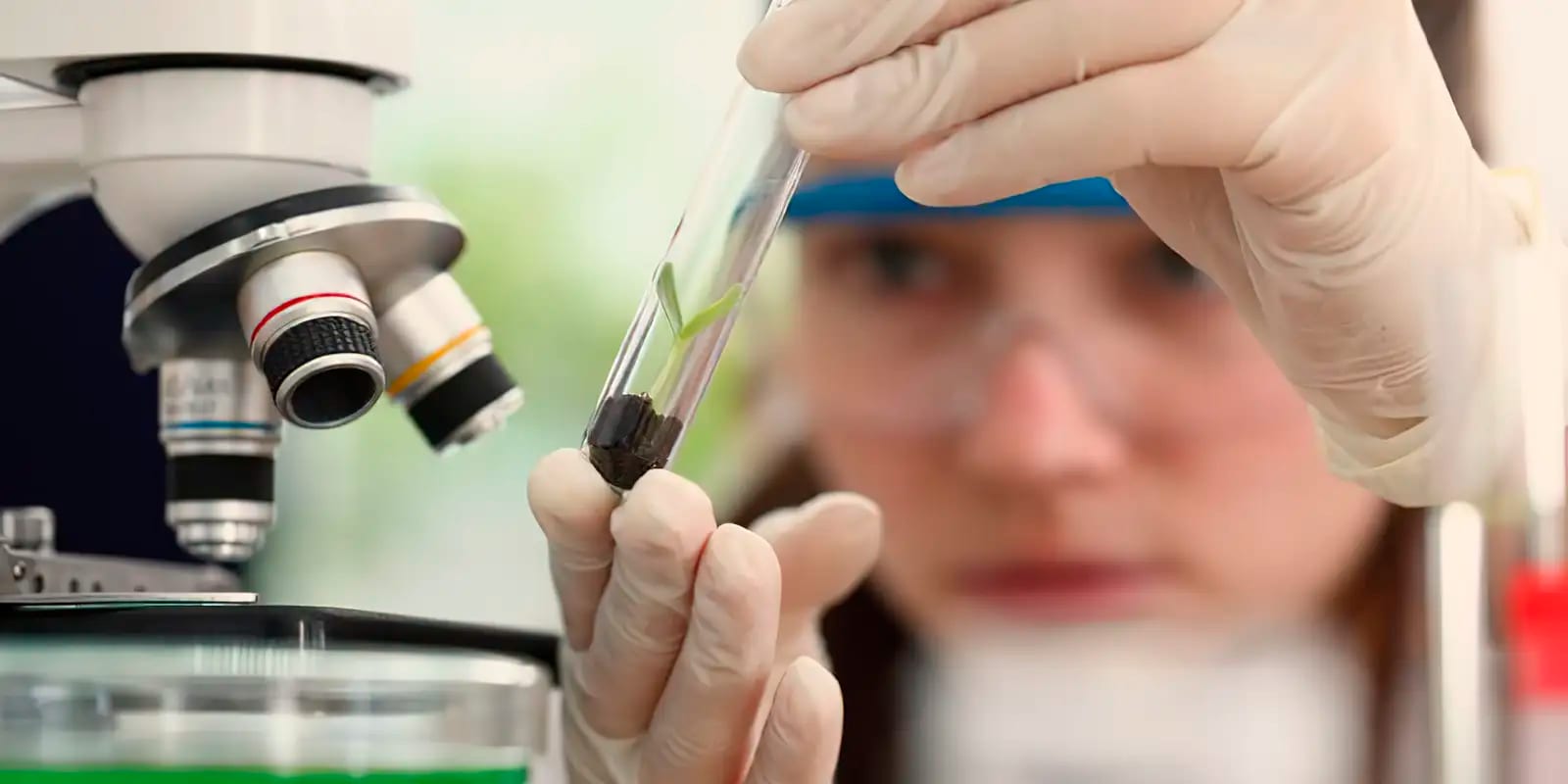 Inscrições abertas para Imersão Científica 2027; 470 vagas até 26/10