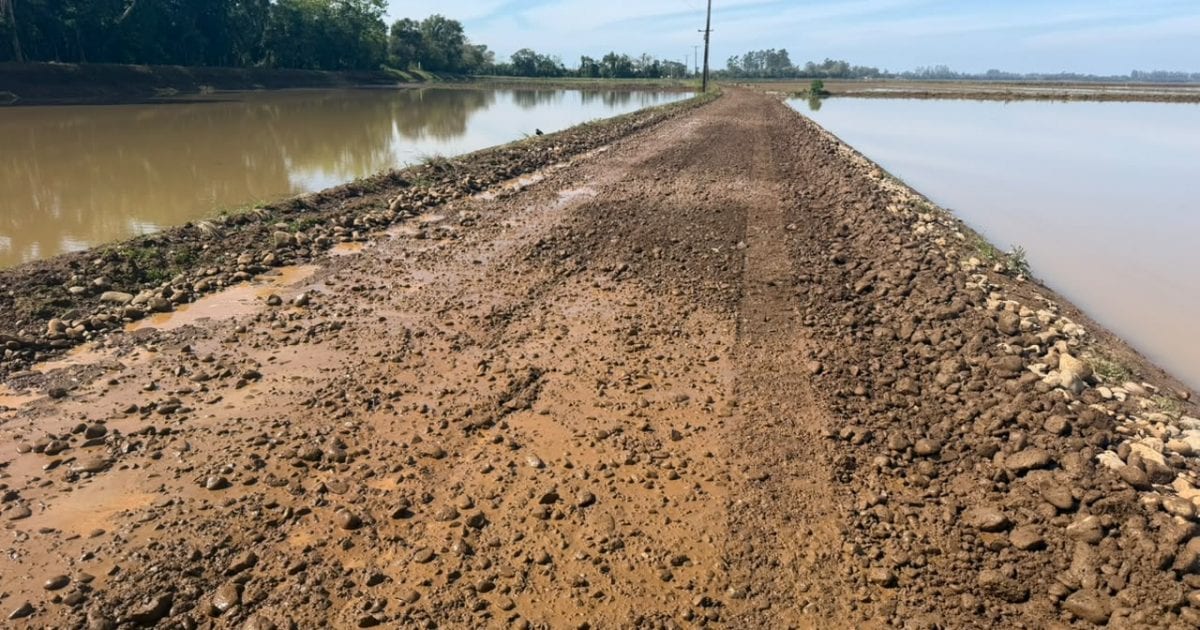 Meleiro inicia recuperação de estradas após período de fortes chuvas
