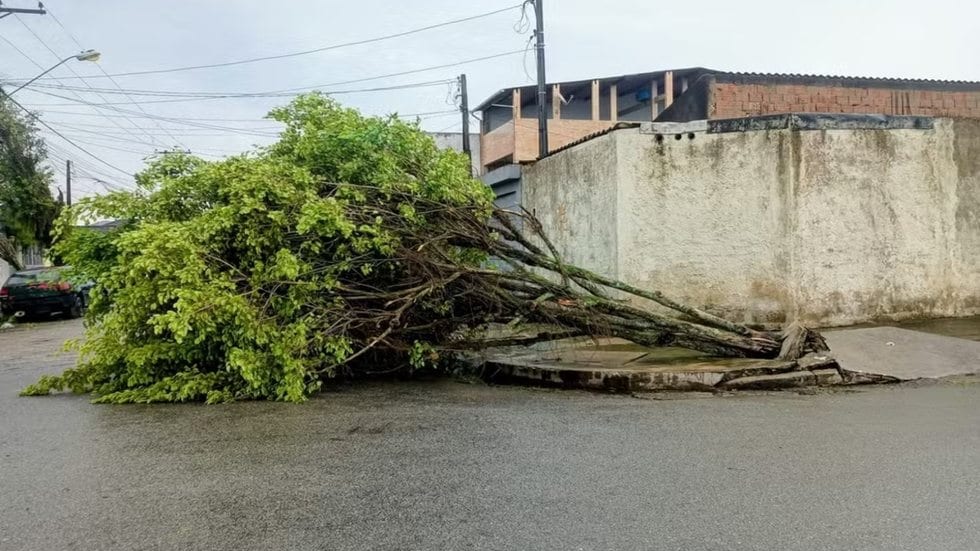 Rajadas de até 93 km/h derrubam árvores e provocam transtornos na Baixada Santista