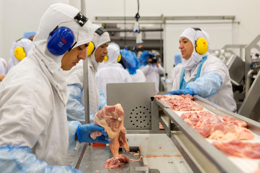 Emirados lideram compra de frango brasileiro