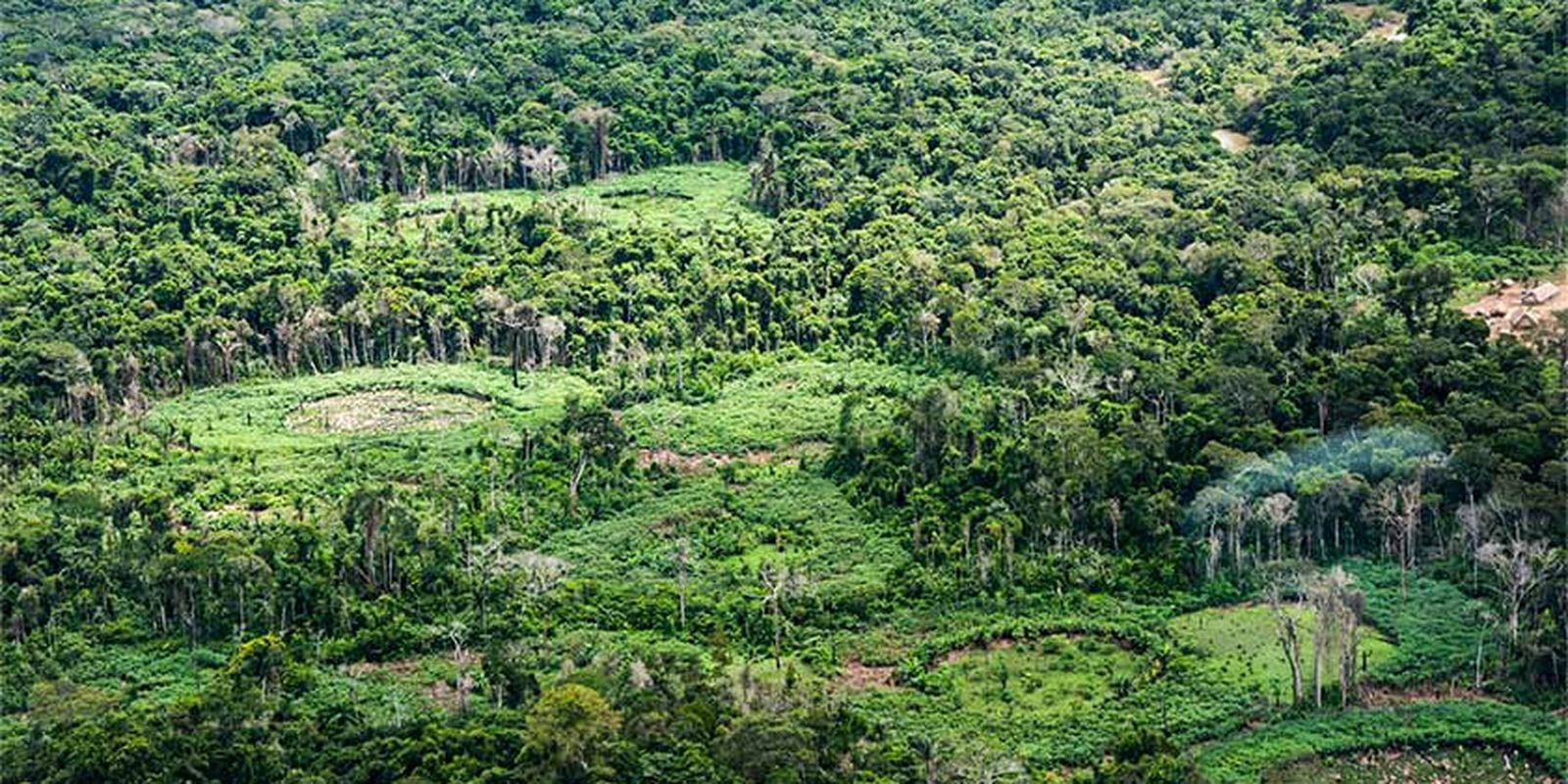 Radar Bioecon reúne 232 políticas públicas da Pan-Amazônia; lançamento na COP17