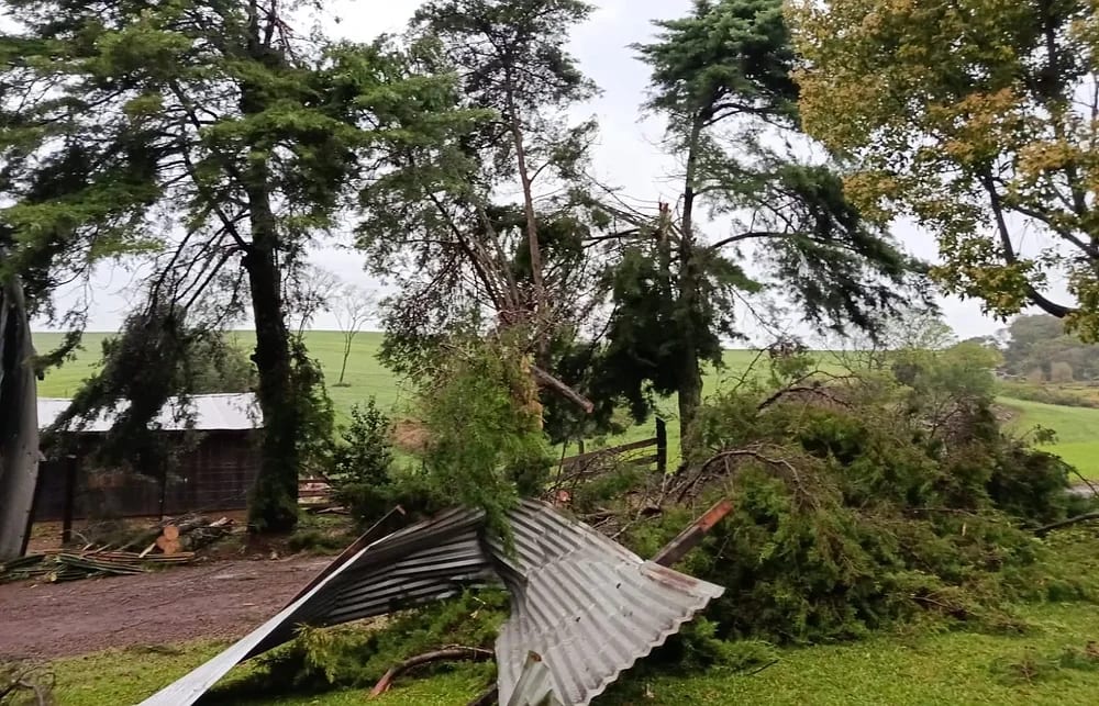 Ipiranga do Sul decreta situação de emergência após granizo atingir mais de 80 casas