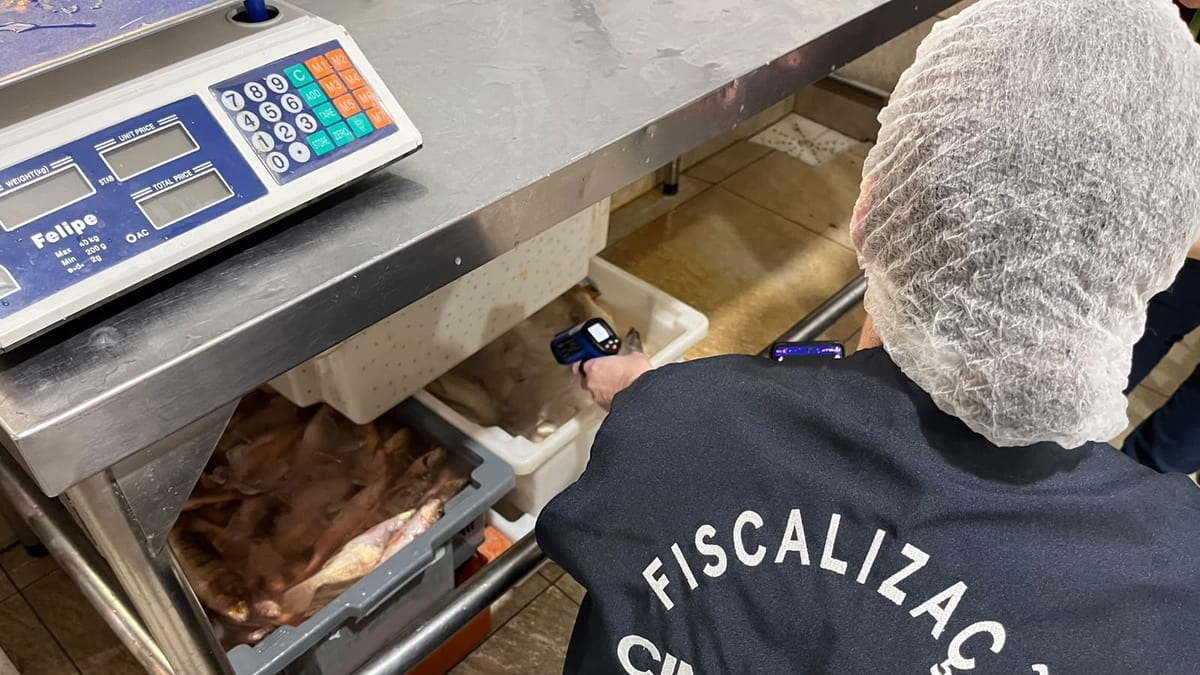 Dono de peixaria é preso em BC durante operação que joga mais de 10 toneladas de pescados no lixo
