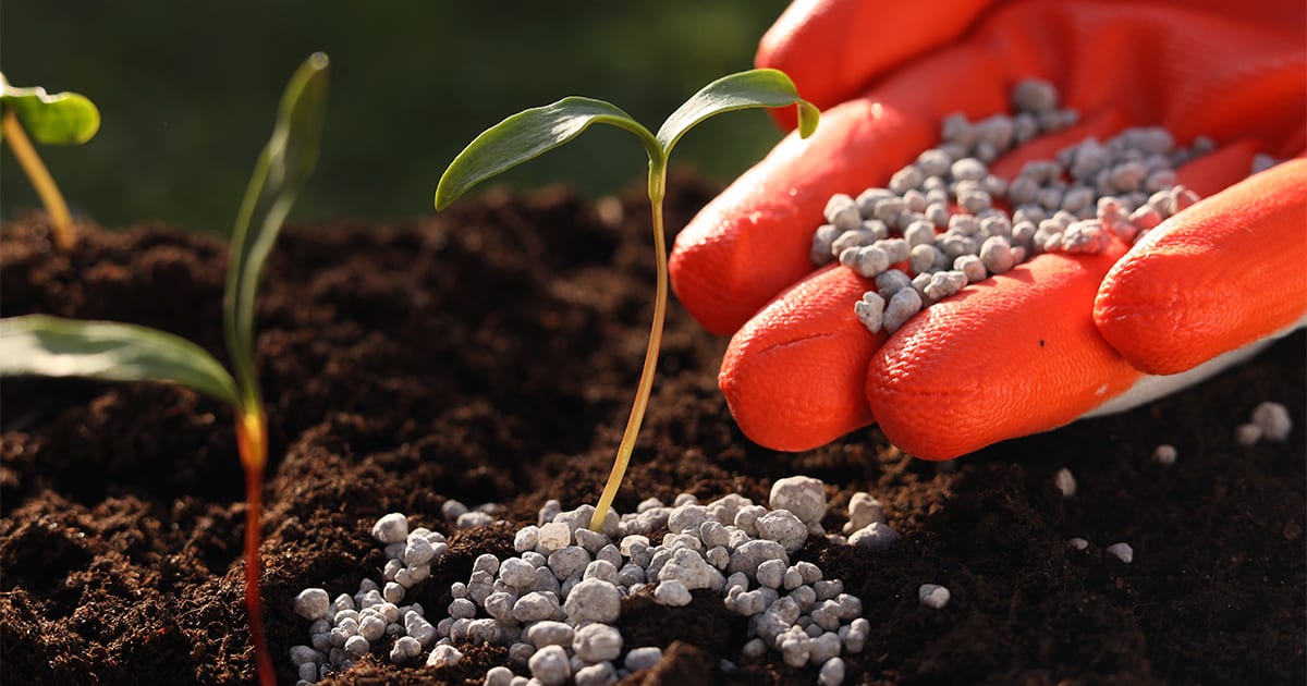 Senado aprova o Profert, programa para estimular indústria nacional de fertilizantes