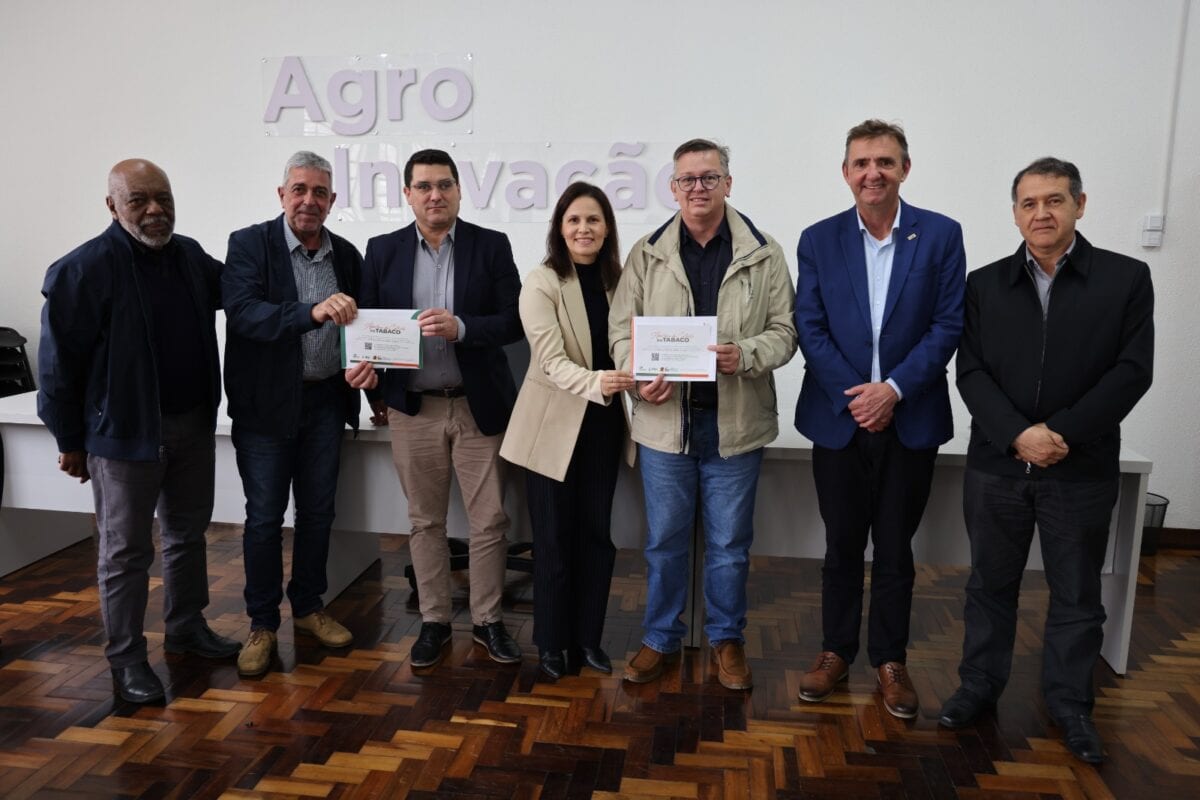 Abertura da Colheita do Tabaco será realizada em Vera Cruz