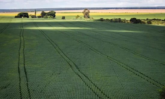 CMN amplia renegociação de dívidas rurais ligadas a eventos climáticos