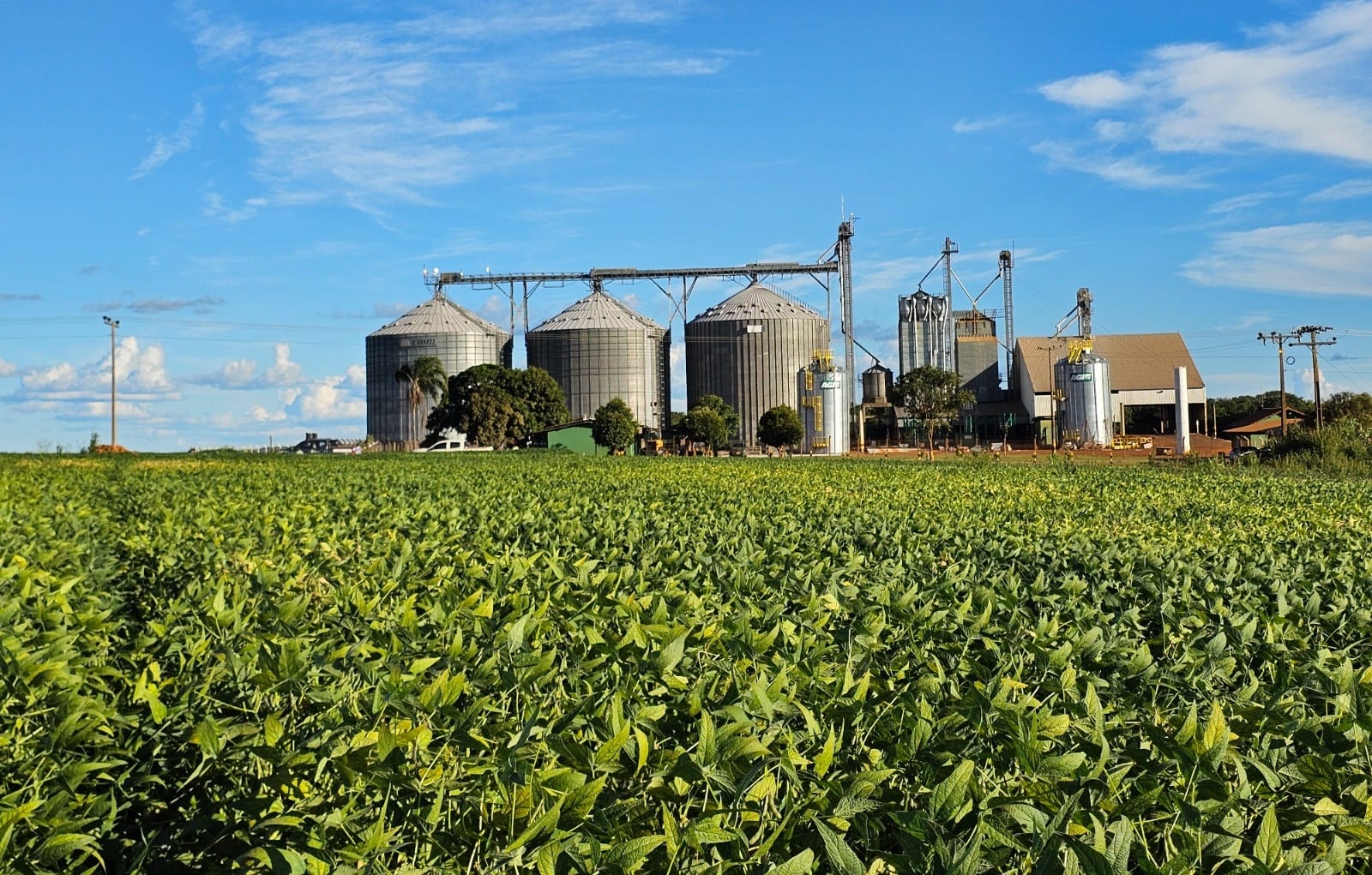 Produtividade da soja em Goiás cresce 15,4% entre as safras 2016/17 e 2025/26