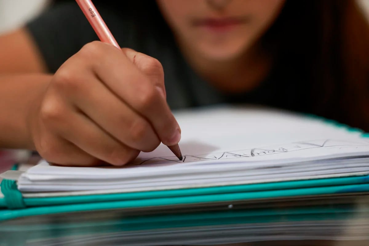 Rede estadual libera matrículas de alunos pelo WhatsApp; saiba como funciona