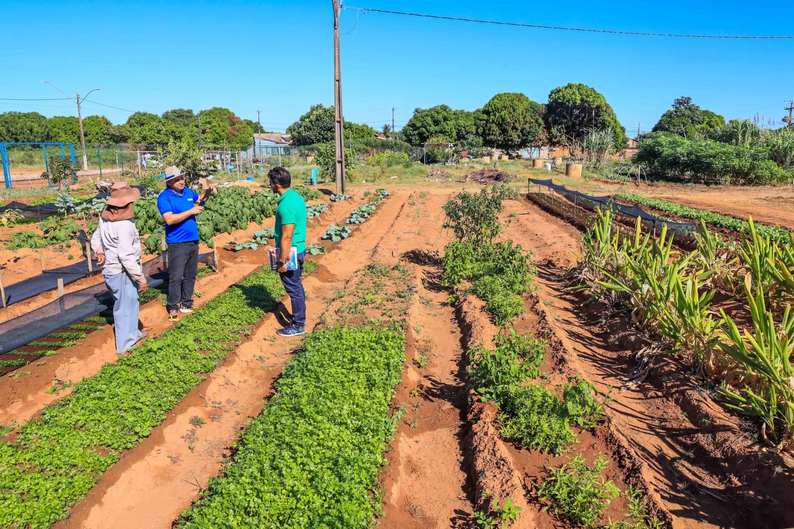 Palmas amplia combate à fome com ações que incluem incentivo à agricultura familiar