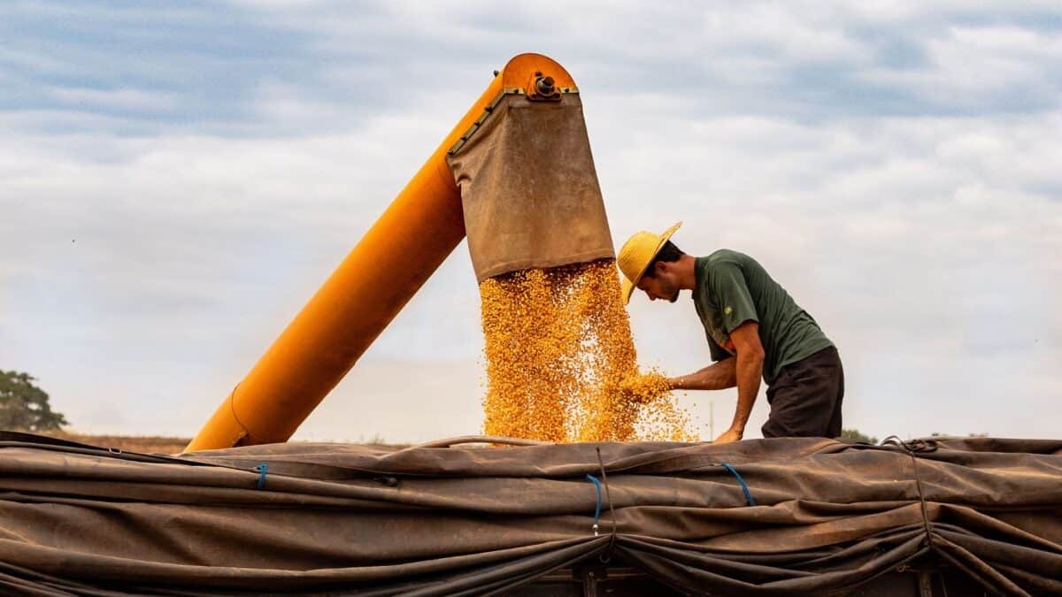 Agronegócio somou R$3,20 trilhões em 2025 e pede regras para crescer