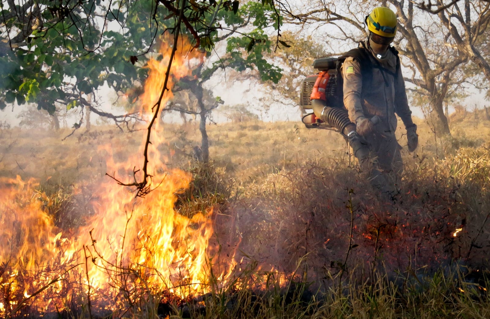 Goiás terá sábado de muito calor, baixa umidade e risco de incêndios em 218 municípios