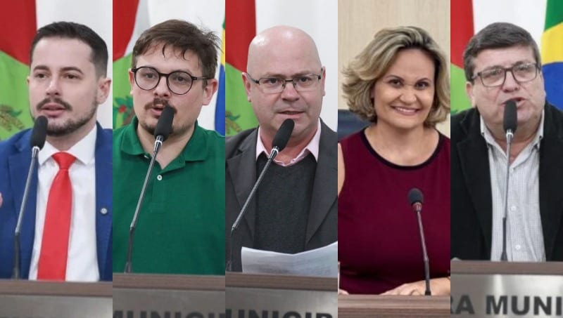 Comentário sobre O desempenho dos vereadores candidatos por Josué Tonet