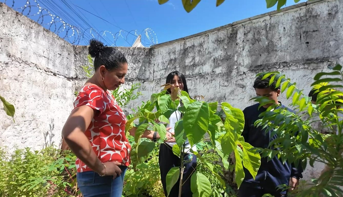 Professora transforma o ensino em legado e faz da natureza uma sala de aula