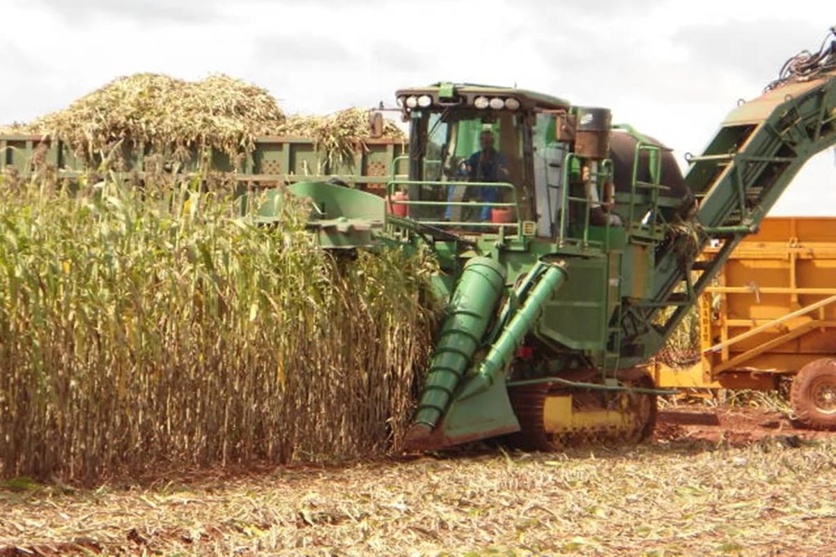 Marrocos vai enviar 3,8 milhões de toneladas de fertilizantes ao Brasil